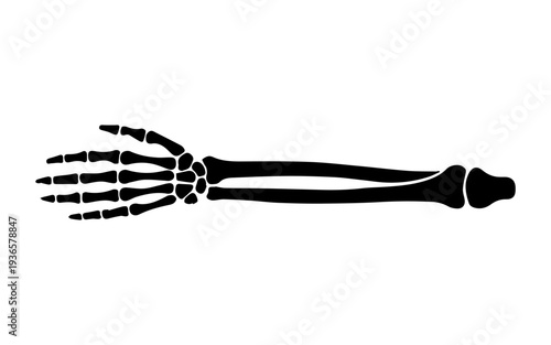 Human arm skeleton with hand bones pictogram