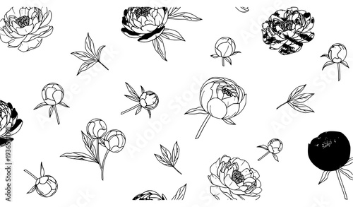 :
Elegant peony flowers seamless vector pattern with botanical floral ornament isolated on white background