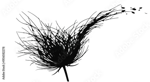 Delicate black feather floats gracefully against a clean white background, symbolizing lightness and freedom.