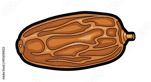 Detailed illustration of a brown seed.