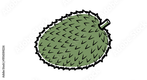 Durian fruit with green skin.