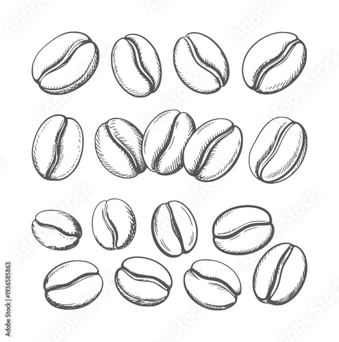 Black and white of multiple coffee beans arranged in rows food