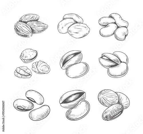 Black and white of various nuts and beans almonds
