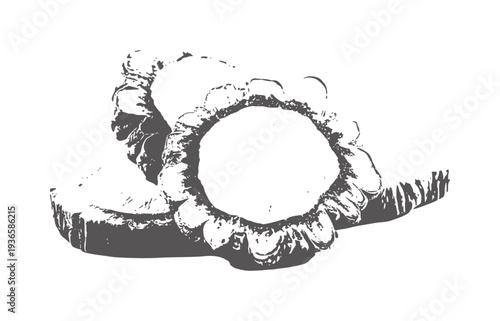 Close up of dried bitter gourd slices with textured surface food organic