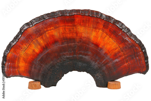 Wood slice art; red-orange grain pattern, on wood stands