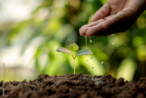 Hand watering a young plant sprout growing in fertile soil on green bokeh background, symbolizing environmental conservation and sustainability.