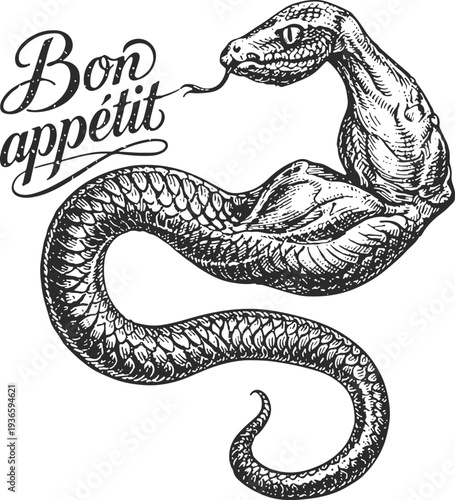 Snake Biceps Muscle with Bon Appetit Hand Lettering, Vintage Engraving Style, Hand Drawn Vector Illustration