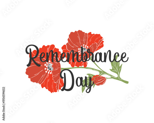 Remembrance Day lettering with Poppy flowers hand drawn, on white background.