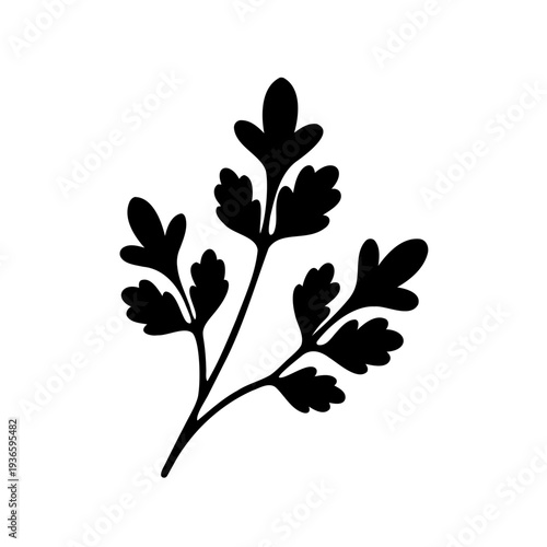 A minimalist monochrome botanical illustration featuring parsley on a white background