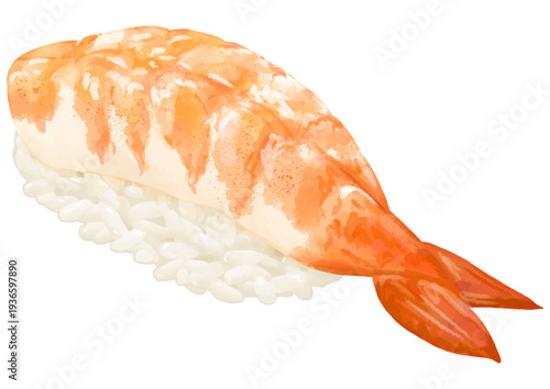 リアルなエビのお寿司一貫のイラスト