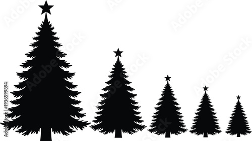 Set of five black Christmas tree silhouettes with star toppers in various sizes isolated on white background for holiday winter design