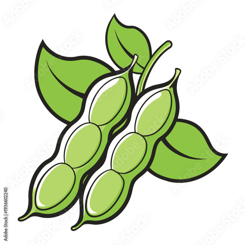Tableau sur toile fava beans line art vector isolated
