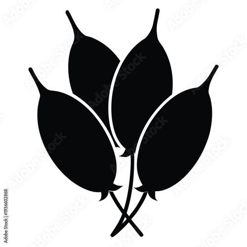 drumstick pods silhouette on white