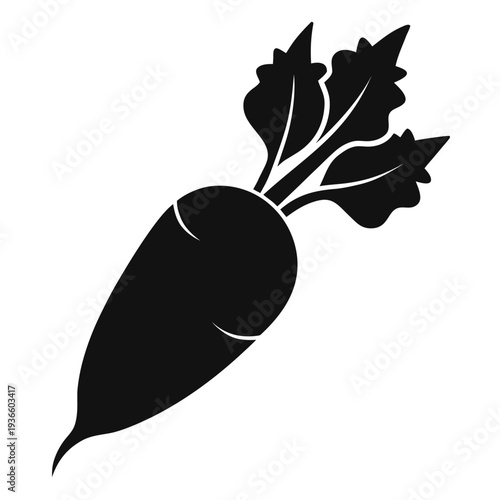 daikon radish silhouette on white background