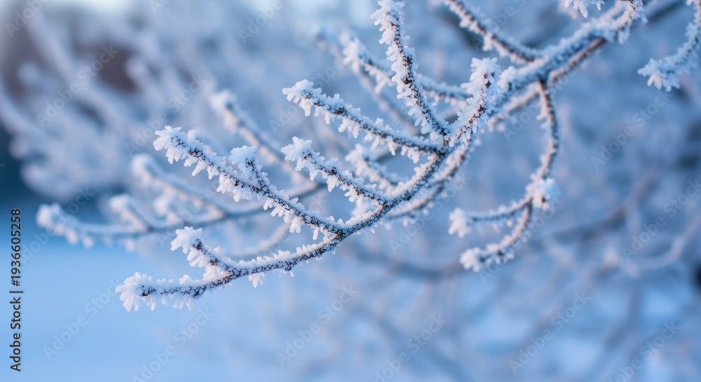 Obraz premium Delicate frozen ice crystals cling tightly to bare tree branches creating stunning natural hoarfrost texture on a frigid winter morning, woods, outdoor, sparkle