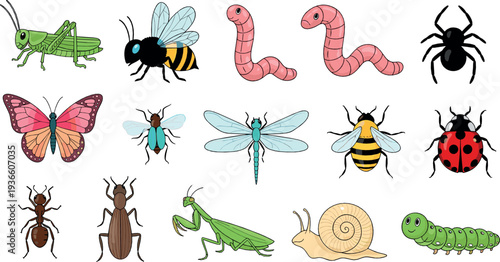 Insects and small creatures collection flat vector illustration with grasshopper bee butterfly ant worm snail and spider