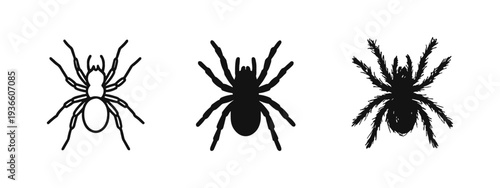 Spider Icons Set in Outline, Solid, and Doodle Styles. Arachnid and Creepy Creature Symbol.