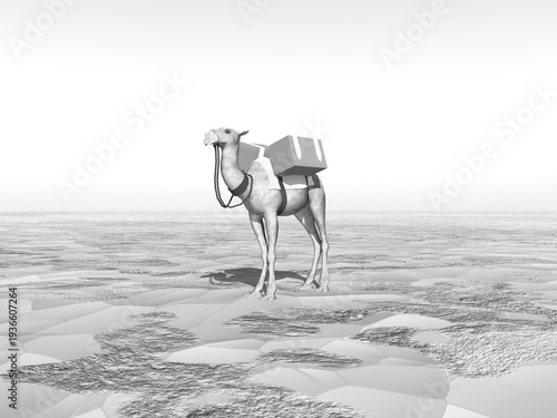 Kamel in einer Wüste in Schwarz und Weiß