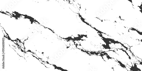 A grunge illustration of black ink splashes and splats creating a dirty paint texture design with vector splatters and stains on a white paper art background