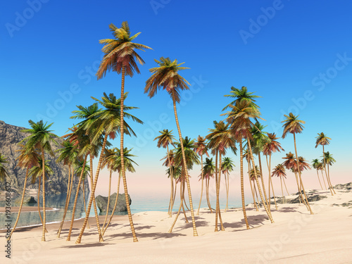 Küstenlandschaft mit Palmen