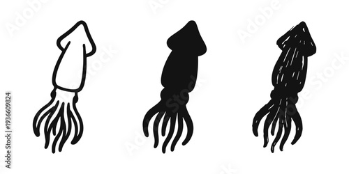 Squid icon set in outline, solid, and hand-drawn doodle style. Marine animal and seafood symbol collection.