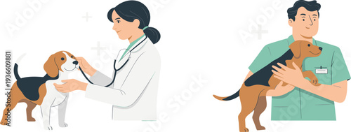 Professional veterinarian vector set with doctors examining and caring for a beagle dog in a clinic
