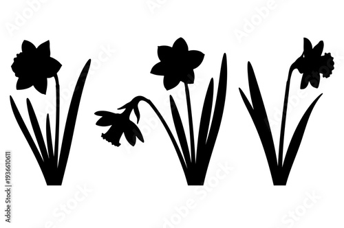 Spring daffodil flower silhouettes set, simple botanical icons