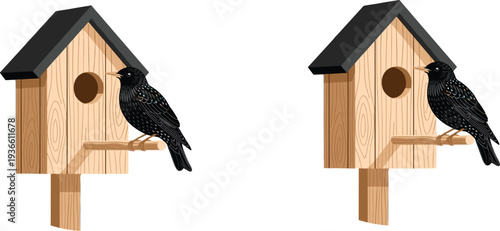 Starling bird sitting on wooden birdhouse nest box garden wildlife vector illustration set