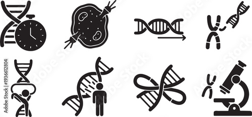 Black Solid Longevity Genetic Silhouettes Set of Six on White Background