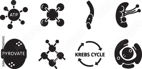 Black Solid ATP Energy Molecular Silhouettes Set of Six on White Background