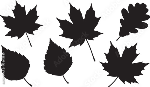 Black Solid Autumn Foliage Silhouettes Set of Six on White Background