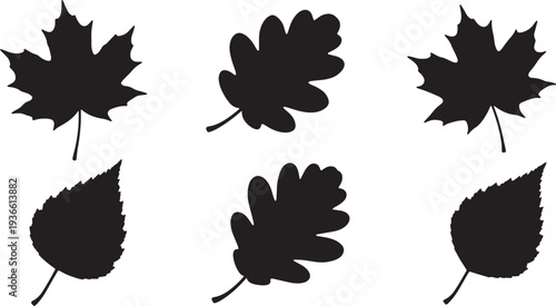 Black Solid Autumn Foliage Silhouettes Set of Six on White Background