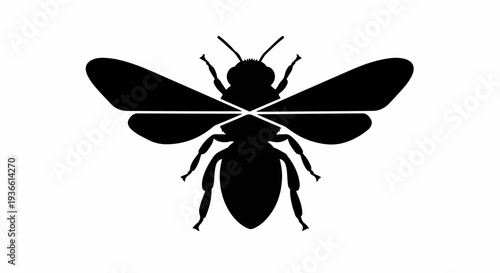 Minimalist black silhouette of a bee with outstretched wings on a white background