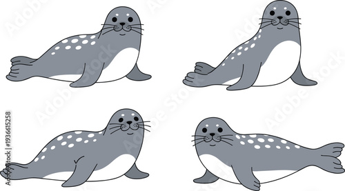 Cute seal marine animal different poses ocean wildlife flat vector illustration set
