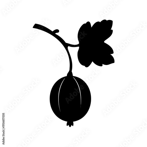 Minimalist black and white silhouette drawing of a gooseberry with leaf