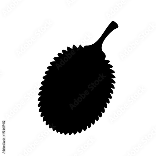 Durian silhouette displaying the unique spiky exterior, an exotic tropical fruit