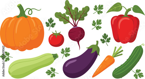 Fresh vegetables collection pumpkin tomato beetroot pepper zucchini eggplant carrot cucumber vector illustration set