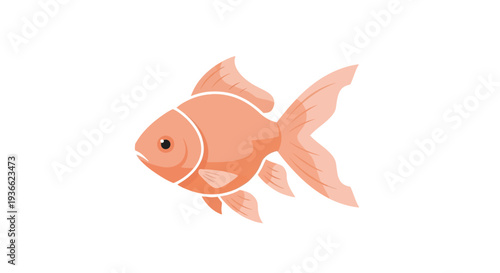 Goldfish Swimming in Water.