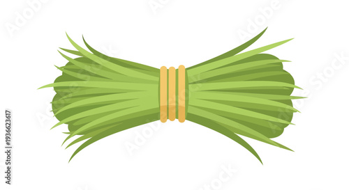 Green Onions Tied Together.