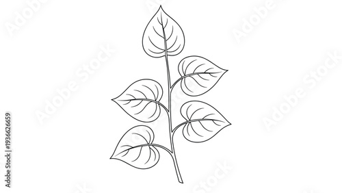 Simple black and white line drawing of a plant stem with five heart shaped leaves arranged on a clean white background for nature design.