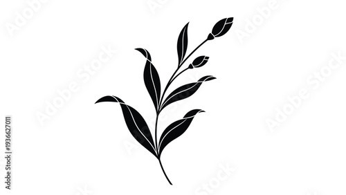 Minimalist black silhouette of a delicate flower branch with thin leaves and buds on a clean white background for elegant design.