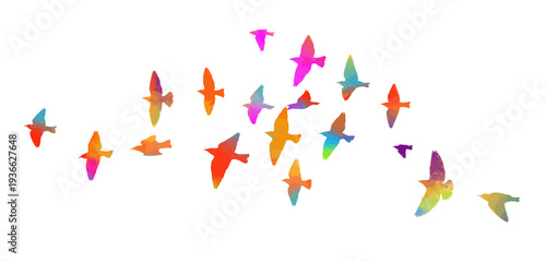 Flying birds colored silhouette flock. hand drawing. Not AI. Vector illustration