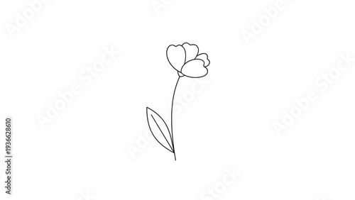 Minimalist black and white line drawing of simple single flower with one leaf on a stem isolated on a plain white background for design.