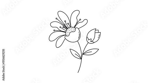 Simple outline drawing of a single flower and a small bud on a thin branch for delicate botanical illustrations and floral designs.
