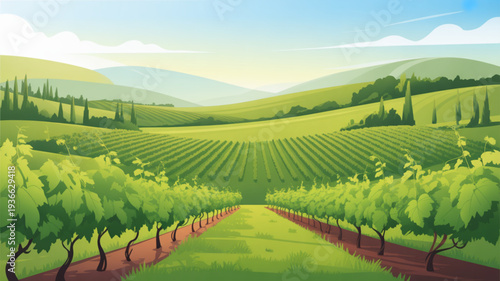 Vineyard landscape with lush green rows of grapevines and rolling hills under a sunny blue sky with white clouds