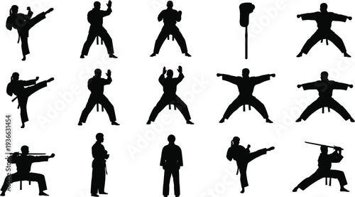 Silhouettes of martial artists in diverse stances, high kicks, defensive moves, staff and sword techniques, combat illustration for training design