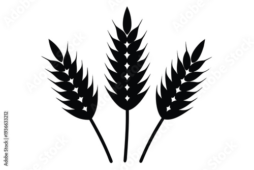 Wheat, Cereal Crop Silhouette