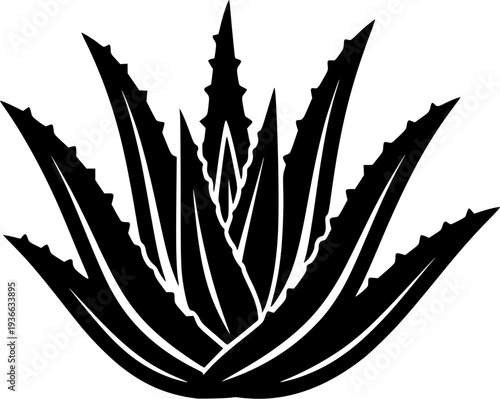 aloe vera silhouette line art vector illustration with a white background