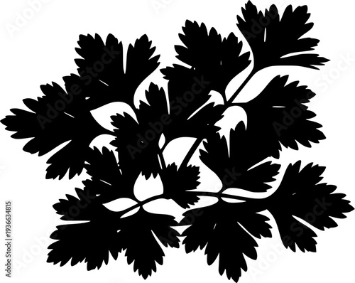Black silhouette shows fresh parsley herb leaves isolated against a plain background