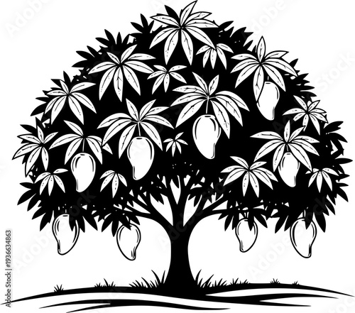 Black silhouette shows a leafy mango tree bearing ripe fruit on fertile land
